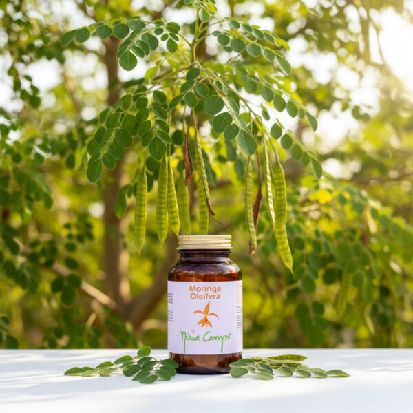 10626V-MORINGA-OLEIFERA-100-CAPS-03 10626V-MORINGA-OLEIFERA-100-CAPS-03