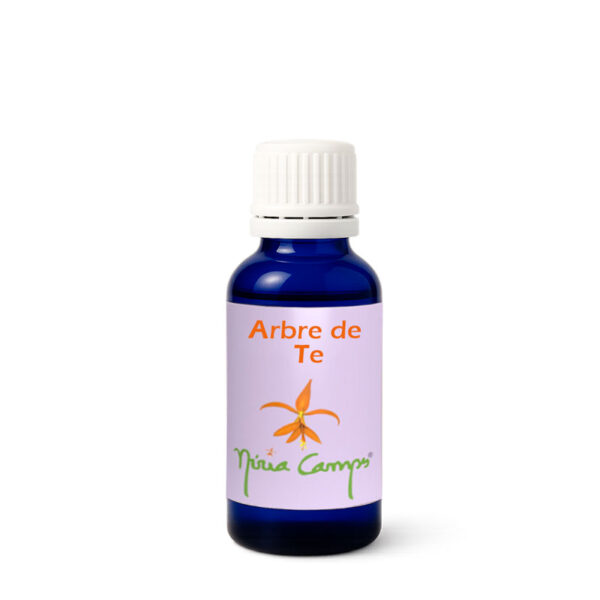 árbol-te-aceite-nuria-campos