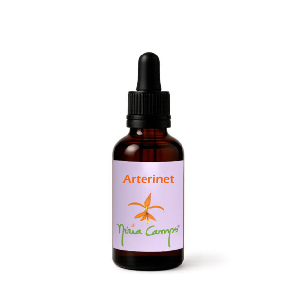 aterinet-nuria-camps