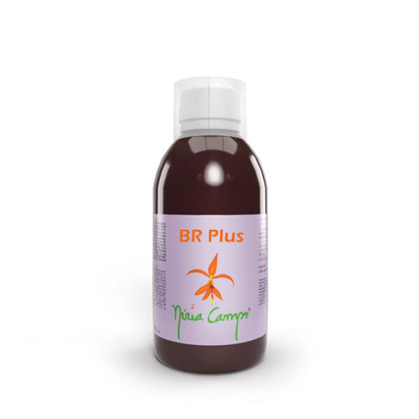 br-plus-nuria-camps