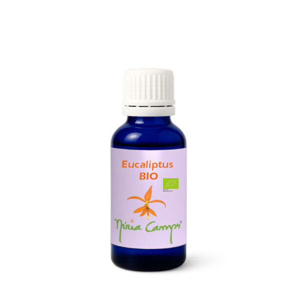 eucalipto-bio-nuria-campos